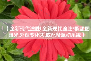 【全新现代途胜l,全新现代途胜N假想图曝光,外观变化大,或配备混动系统】