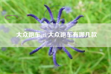 大众跑车gti/大众跑车有哪几款