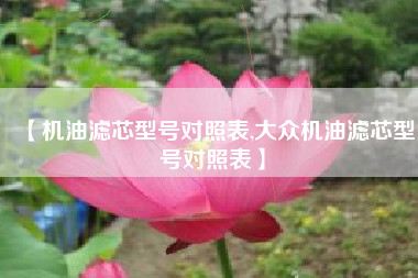 【机油滤芯型号对照表,大众机油滤芯型号对照表】