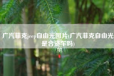 广汽菲克jeep自由光图片(广汽菲克自由光是合资车吗)