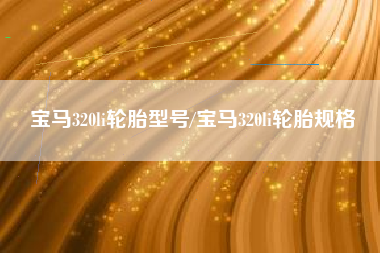 宝马320li轮胎型号/宝马320li轮胎规格