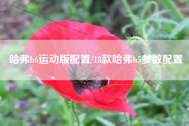 哈弗h6运动版配置/18款哈弗h5参数配置