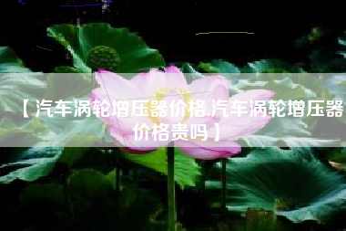 【汽车涡轮增压器价格,汽车涡轮增压器价格贵吗】 【汽车涡轮增压器价格,汽车涡轮增压器价格贵吗】