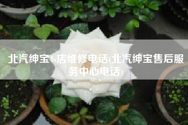 北汽绅宝4s店维修电话(北汽绅宝售后服务中心电话) 北汽绅宝4s店维修电话(北汽绅宝售后服务中心电话)