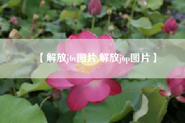 【解放j6v图片,解放j6p图片】 【解放j6v图片,解放j6p图片】