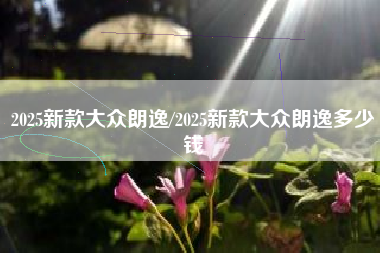 2025新款大众朗逸/2025新款大众朗逸多少钱