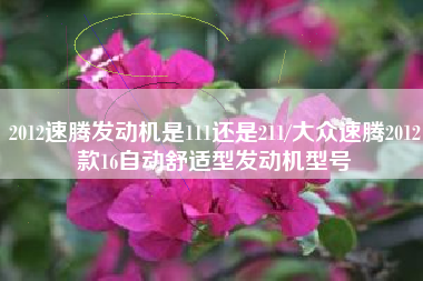 2012速腾发动机是111还是211/大众速腾2012款16自动舒适型发动机型号 2012速腾发动机是111还是211/大众速腾2012款16自动舒适型发动机型号