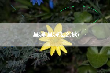 星骋(星骋怎么读)