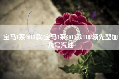 宝马1系2013款/宝马1系2013款118i领先型加几号汽油