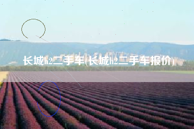 长城h2二手车(长城h2二手车报价)