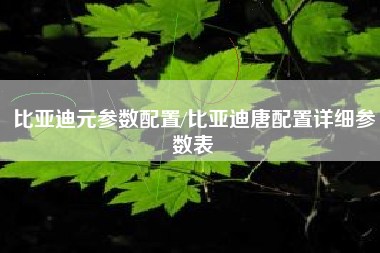 比亚迪元参数配置/比亚迪唐配置详细参数表
