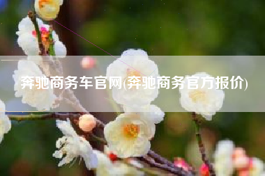 奔驰商务车官网(奔驰商务官方报价)