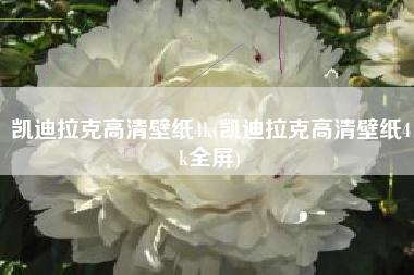 凯迪拉克高清壁纸4k(凯迪拉克高清壁纸4k全屏) 凯迪拉克高清壁纸4k(凯迪拉克高清壁纸4k全屏)