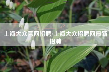 上海大众官网招聘/上海大众招聘网最新招聘
