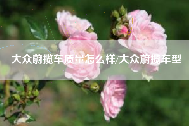 大众蔚揽车质量怎么样/大众蔚揽车型