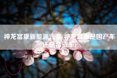 神龙富康新能源汽车(神龙富康是国产车还是合资车)