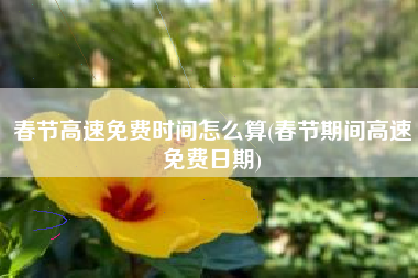 春节高速免费时间怎么算(春节期间高速免费日期)