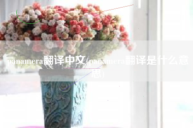panamera翻译中文(panamera翻译是什么意思)
