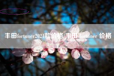 丰田fortuner2021款价格/丰田 fortuner 价格