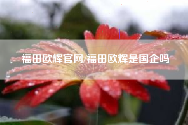 福田欧辉官网/福田欧辉是国企吗
