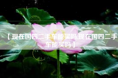 【现在国四二手车能买吗,现在国四二手车能买吗】