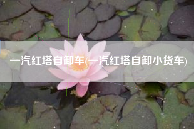 一汽红塔自卸车(一汽红塔自卸小货车) 一汽红塔自卸车(一汽红塔自卸小货车)