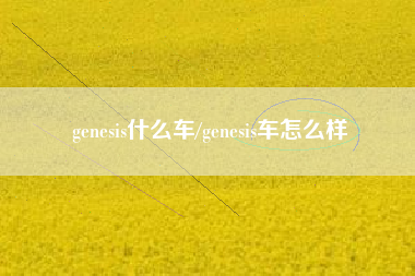 genesis什么车/genesis车怎么样 genesis什么车/genesis车怎么样