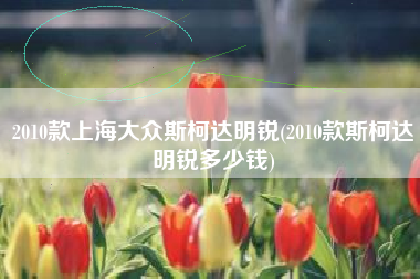 2010款上海大众斯柯达明锐(2010款斯柯达明锐多少钱)