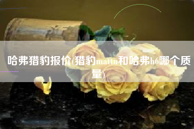 哈弗猎豹报价(猎豹mattu和哈弗h6哪个质量) 哈弗猎豹报价(猎豹mattu和哈弗h6哪个质量)