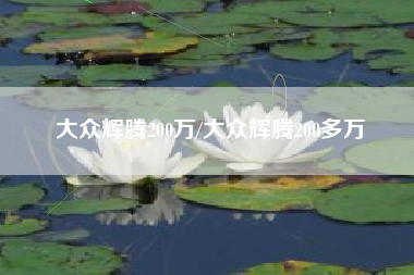 大众辉腾200万/大众辉腾200多万 大众辉腾200万/大众辉腾200多万