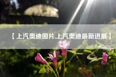 【上汽奥迪图片,上汽奥迪最新进展】