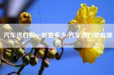 汽车进口税一般要多少/汽车进口税有哪些