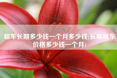 租车长期多少钱一个月多少钱(长期租车价格多少钱一个月)