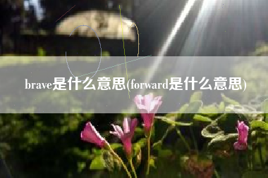brave是什么意思(forward是什么意思)