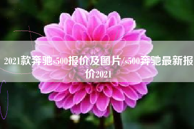 2021款奔驰s500报价及图片/s500奔驰最新报价2021