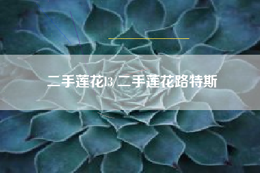 二手莲花l3/二手莲花路特斯