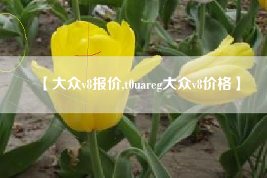 【大众v8报价,t0uareg大众v8价格】