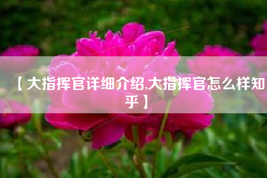 【大指挥官详细介绍,大指挥官怎么样知乎】