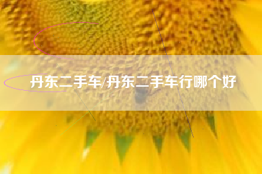 丹东二手车/丹东二手车行哪个好