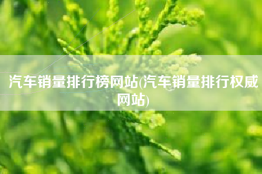 汽车销量排行榜网站(汽车销量排行权威网站) 汽车销量排行榜网站(汽车销量排行权威网站)