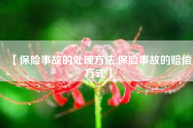 【保险事故的处理方法,保险事故的赔偿方式】