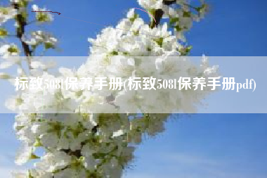 标致508l保养手册(标致508l保养手册pdf)