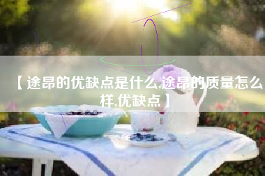 【途昂的优缺点是什么,途昂的质量怎么样,优缺点】