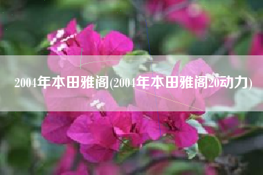 2004年本田雅阁(2004年本田雅阁20动力)