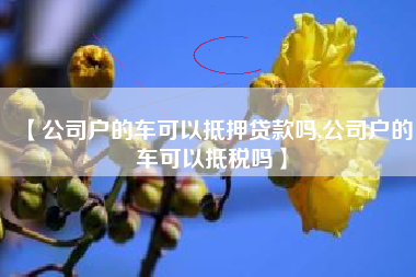 【公司户的车可以抵押贷款吗,公司户的车可以抵税吗】 【公司户的车可以抵押贷款吗,公司户的车可以抵税吗】