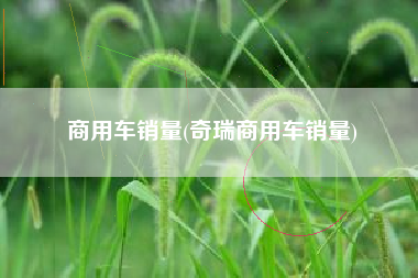 商用车销量(奇瑞商用车销量) 商用车销量(奇瑞商用车销量)