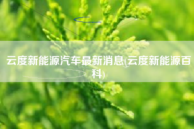 云度新能源汽车最新消息(云度新能源百科)