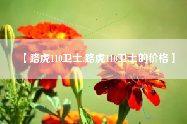 【路虎110卫士,路虎110卫士的价格】