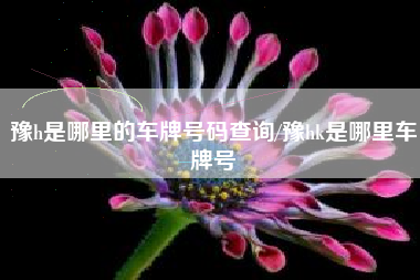 豫h是哪里的车牌号码查询/豫hk是哪里车牌号