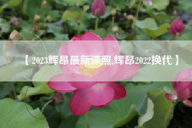 【2023辉昂最新谍照,辉昂2022换代】